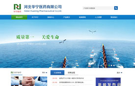 河北華寧醫(yī)藥有限公司